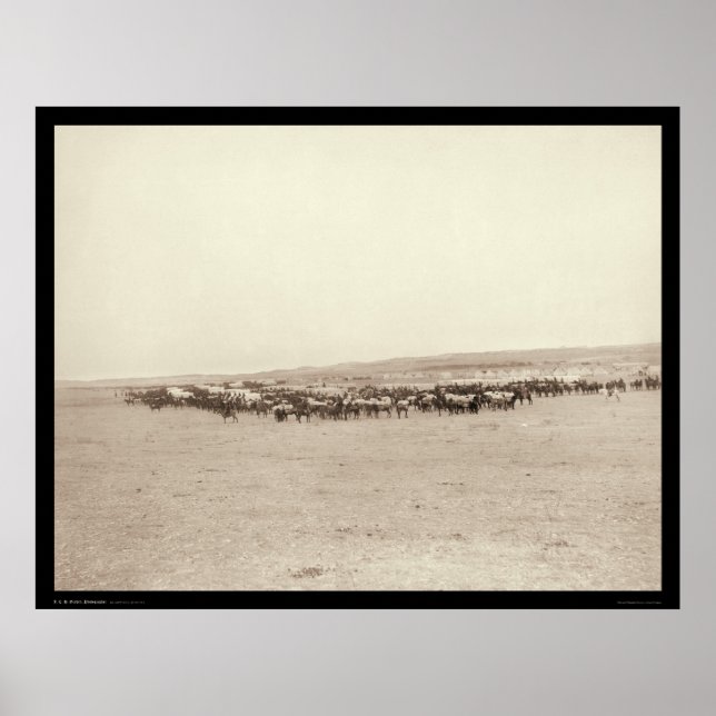 Poster Vagões de Suprimento & Mulas de Pacote SD 1887 (Frente)