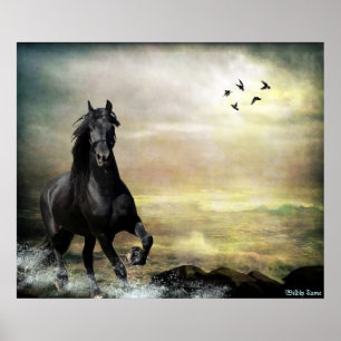 Póster Vagueie a maré