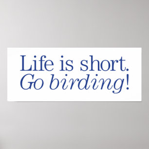 Póster Vai Birding!