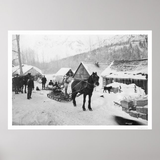 Póster Valdez Trail Horses Alaska 1912 (Frente)