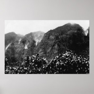 Póster Vale de Nuuanu, Havaí - ideia da queda de cabeça