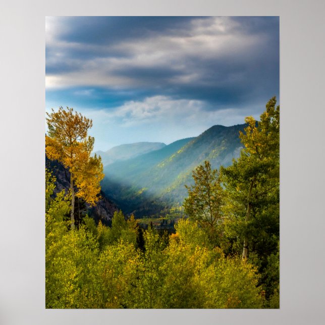 Poster Vale do Sol/Floresta de Cor do Outono (Frente)