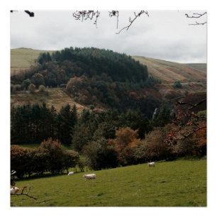 Póster Vale Wales da flâmula