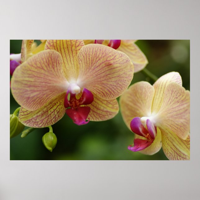 Póster Vamos ficar juntos (Frente)