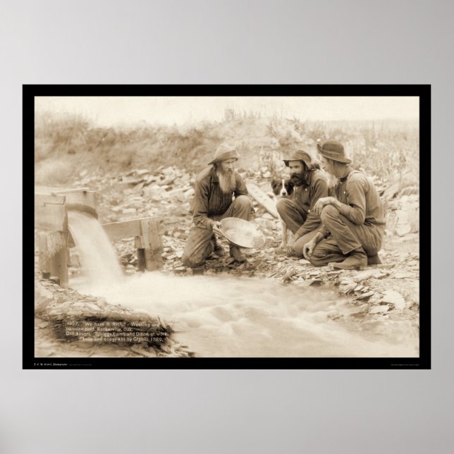 Poster Vamos Obter Rich Panning Dourado SD 1889 (Frente)