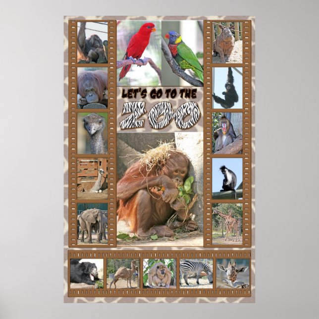 Póster Vamos para o zoológico (Frente)