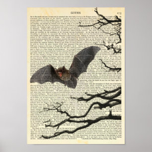 Poster Vampiro Bat, Gótico, Drácula, Bat, Natureza