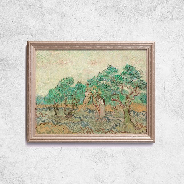 Poster Van Gogh A Velha Arte Do Pomar-Oliva (Van Gogh The Olive Orchard Trees Old Art Poster
)