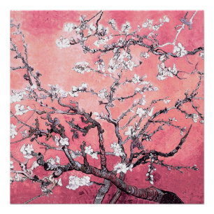Póster Van Gogh Almond Blossom cor-de-rosa