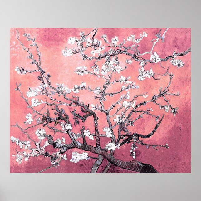 Poster Van Gogh Almond Blossom cor-de-rosa (Frente)