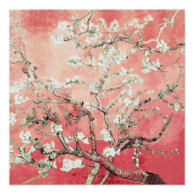 Póster Van Gogh Almond Blossoms (Frente)