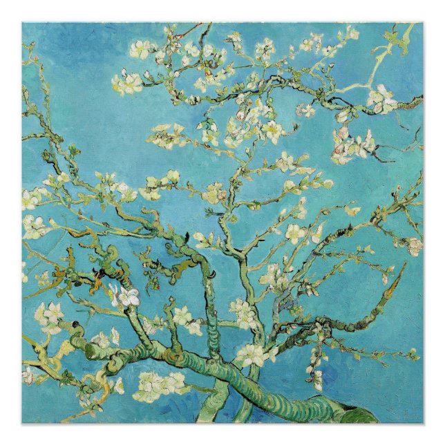 Póster Van Gogh Almond Blossoms (Frente)