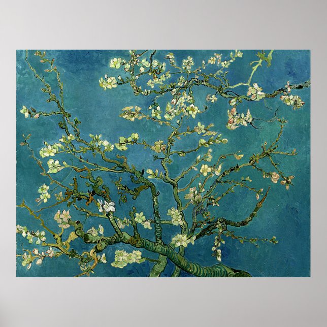 Póster Van Gogh Almond Blossoms (Frente)