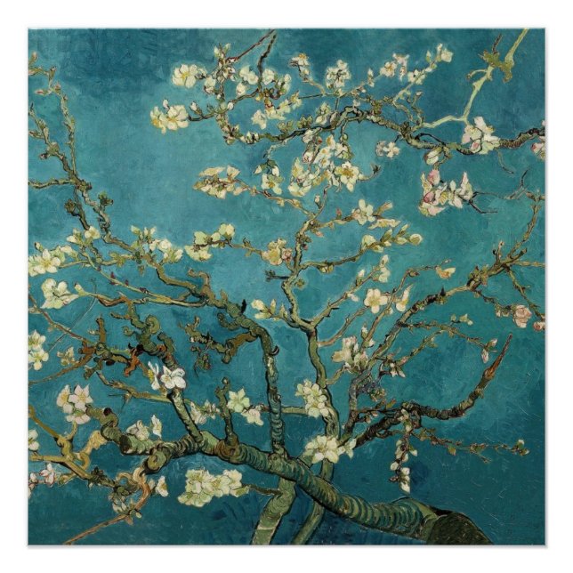 Póster Van Gogh - Amendoeira em Flor (Frente)