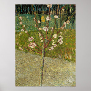 Poster Van Gogh - Amendoeira em Flor