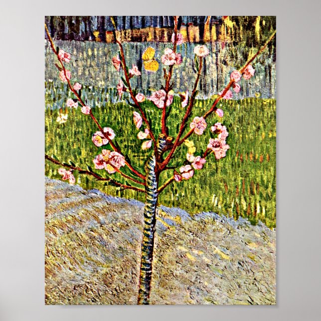Poster Van Gogh - Árvore de Amêndoa no Flor (Frente)