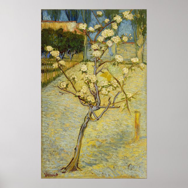 Poster Van Gogh - Árvore de Pera Flor (Frente)