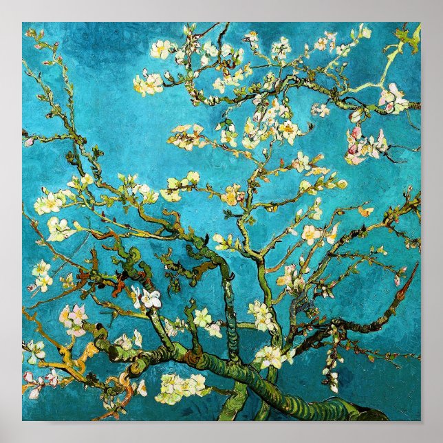 Póster Van Gogh Blossoming Almond Tree (F671) Belas Artes (Frente)