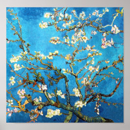 Póster Van Gogh Blossoming Almond Tree Fine Art