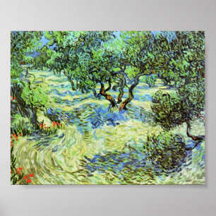 Póster Van Gogh - bosque verde-oliva - céu azul brilhant