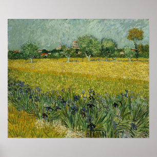 Poster Van Gogh - Campo Com Flores Em Arles