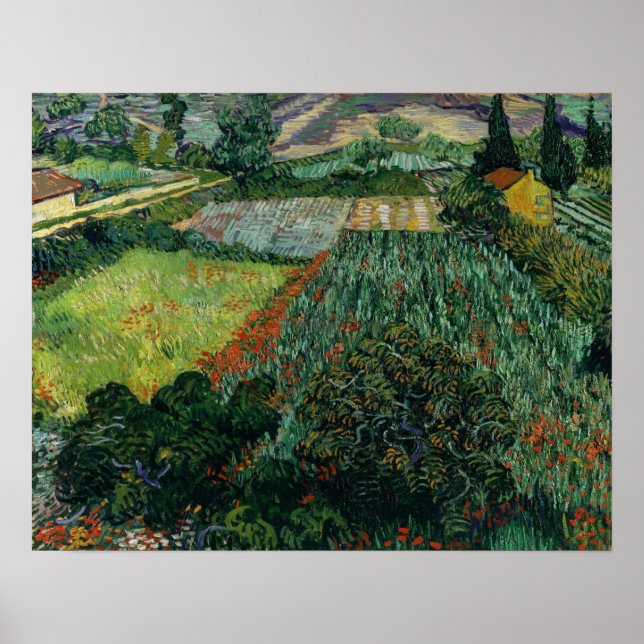 Poster Van Gogh - Campo Com Poppies 1889 (Frente)