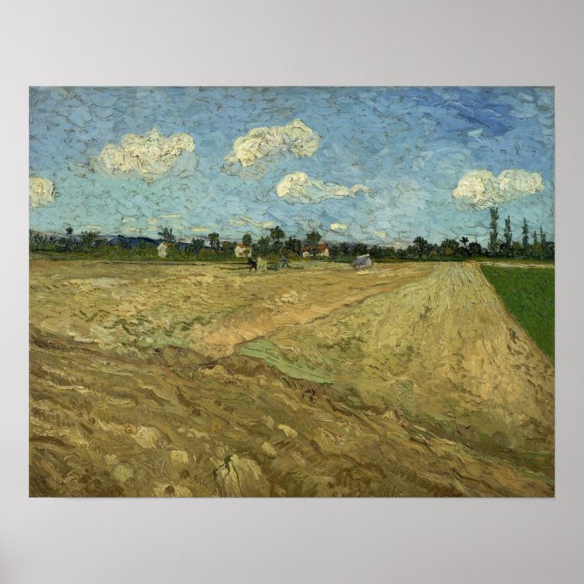 Poster Van Gogh - Campos Permitidos ("De Furrows") (Frente)