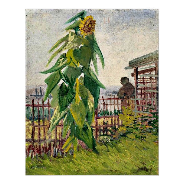Póster Van Gogh - Colocação com girassol (Frente)