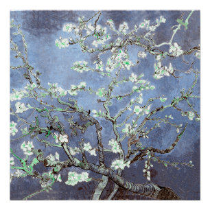 Póster Van Gogh Flores de Amendoeira Azul Aço