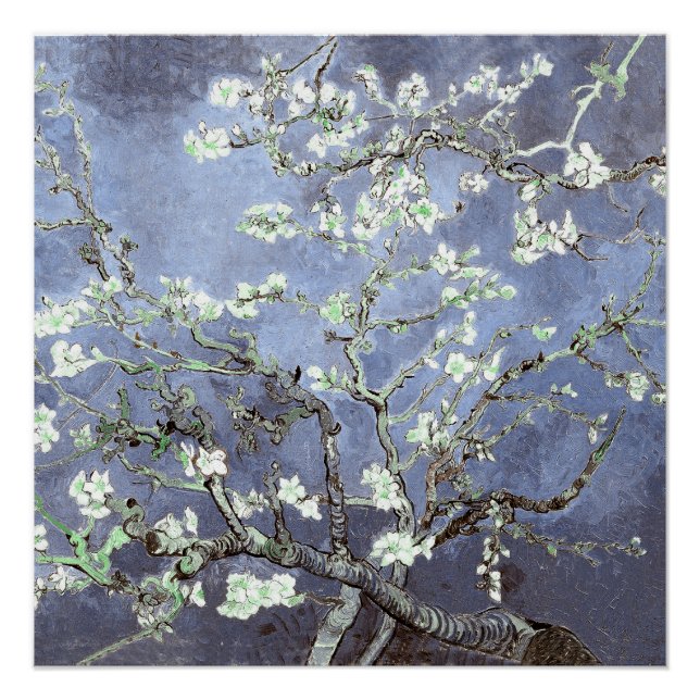 Póster Van Gogh Flores de Amendoeira Azul Aço (Frente)