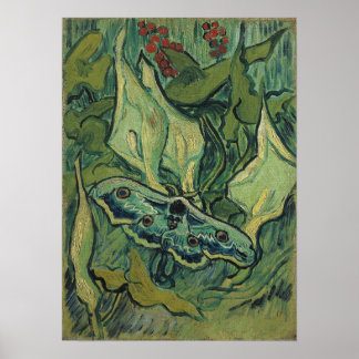 Poster Van Gogh - Imperador Moth