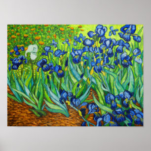 Poster Van Gogh Irises