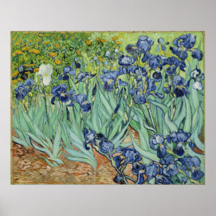 Póster Van Gogh Irises, Arte Apos impressionismo Vintage