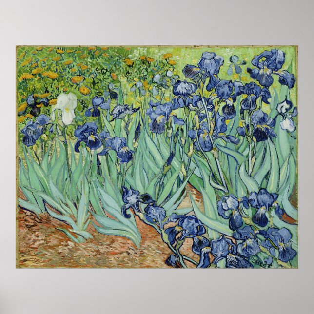 Póster Van Gogh Irises, Arte Apos impressionismo Vintage (Frente)