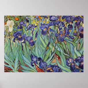 Poster Van Gogh Irises Impressionist Painting