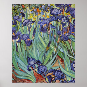 Póster Van Gogh Irises Impressionist Painting