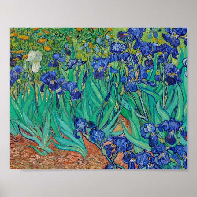 Poster Van Gogh Irises Painting (Frente)