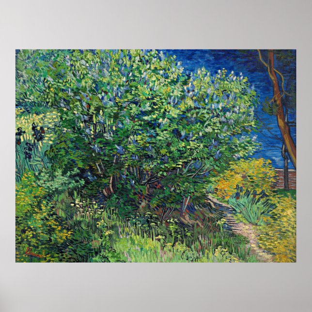 Poster Van Gogh - Lilac Bush (Frente)