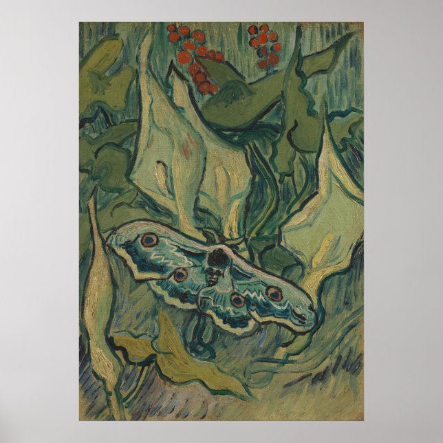 Poster Van Gogh Mariposa Pavão Gigante Arte da Natureza V (Frente)