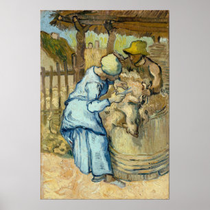 Poster Van Gogh - O Ovino (Após Milete)
