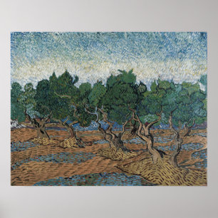 Poster Van Gogh - Oliveira
