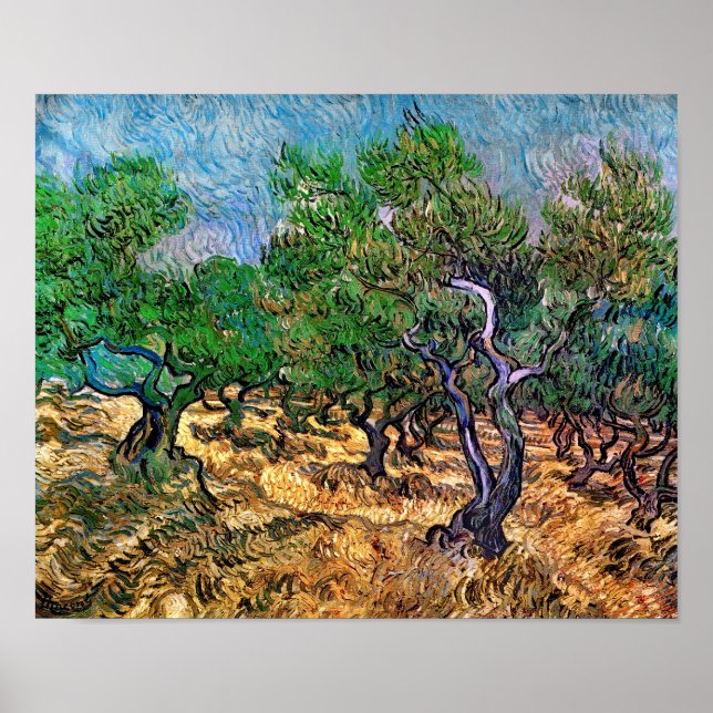 Poster Van Gogh - Oliveira (Frente)