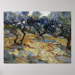 Poster Van Gogh - Oliveiras