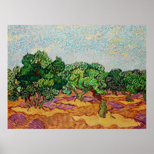 Poster Van Gogh - Oliveiras,  (Frente)