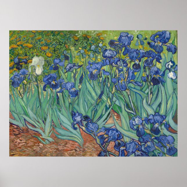 Poster Van Gogh Pintura Clássica Suscita Botânica Floral (Frente)