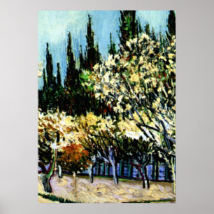 Poster Van Gogh - Pomar cercado por ciprestes