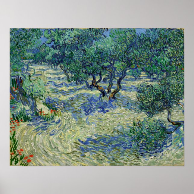 Poster Van Gogh - Pomar de Oliva (Frente)