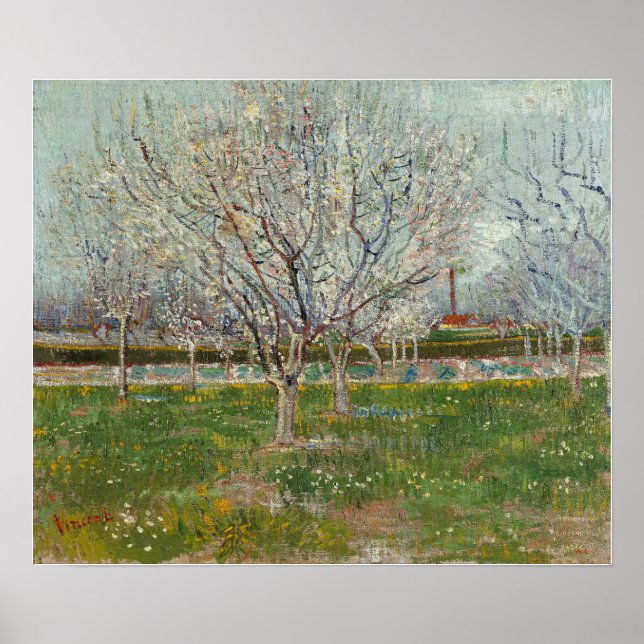 Poster Van Gogh - Pomar Em Flor (Árvores De Ameixa) (Frente)