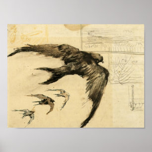 Poster Van Gogh - quatro Swifts com esboços da paisagem