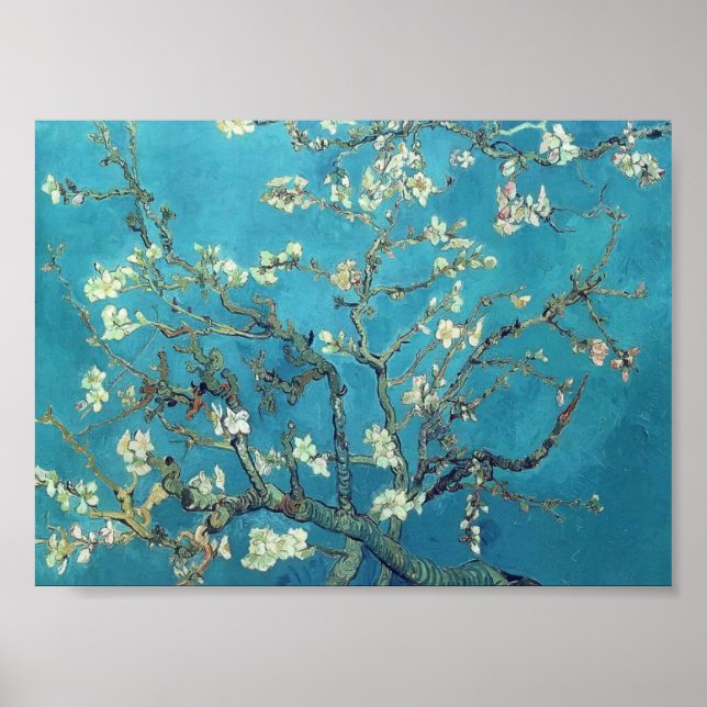 Poster Van Gogh - Ramificações com Flor de Amêndoa (Frente)